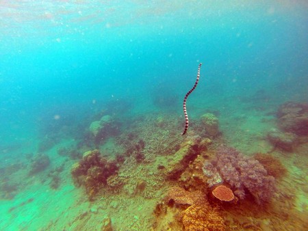 DCIM\100GOPRO