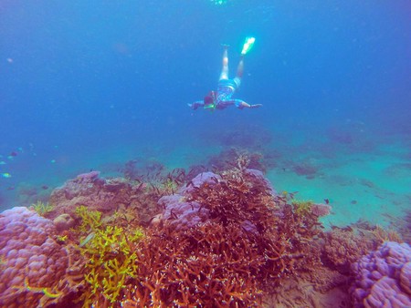 DCIM\101GOPRO