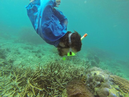 DCIM\101GOPRO