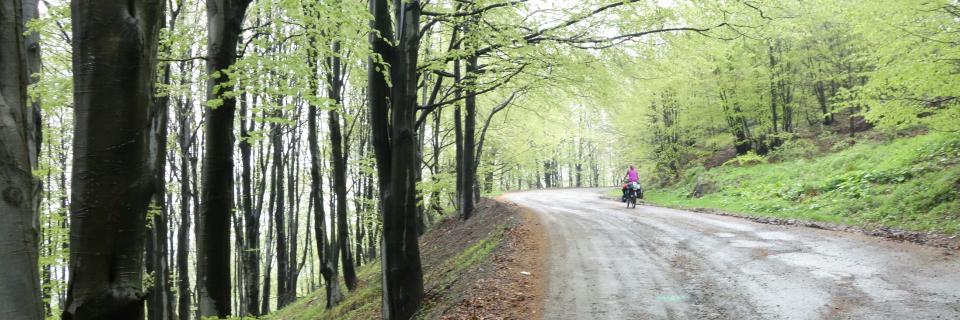 Die kleinen Hobbits im Balkan