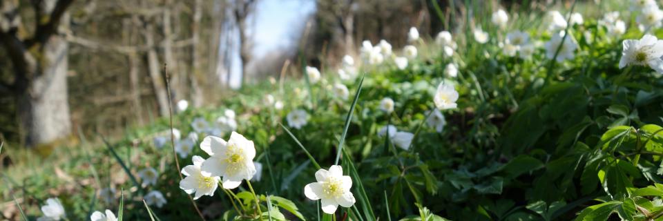 Frühling in Süddeutschland